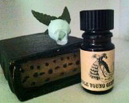 Pale Young Gentleman Perfume Oil, A Pale Young Gentleman Perfume Oil, A